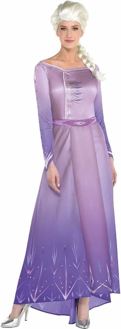 Party City Elsa Arendelle Costume for Women, Frozen 2, Medium, Includes Dress