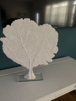 Large Designers Coral 