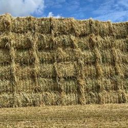 Oat Hay - Big Bales
