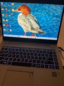 Office Laptop