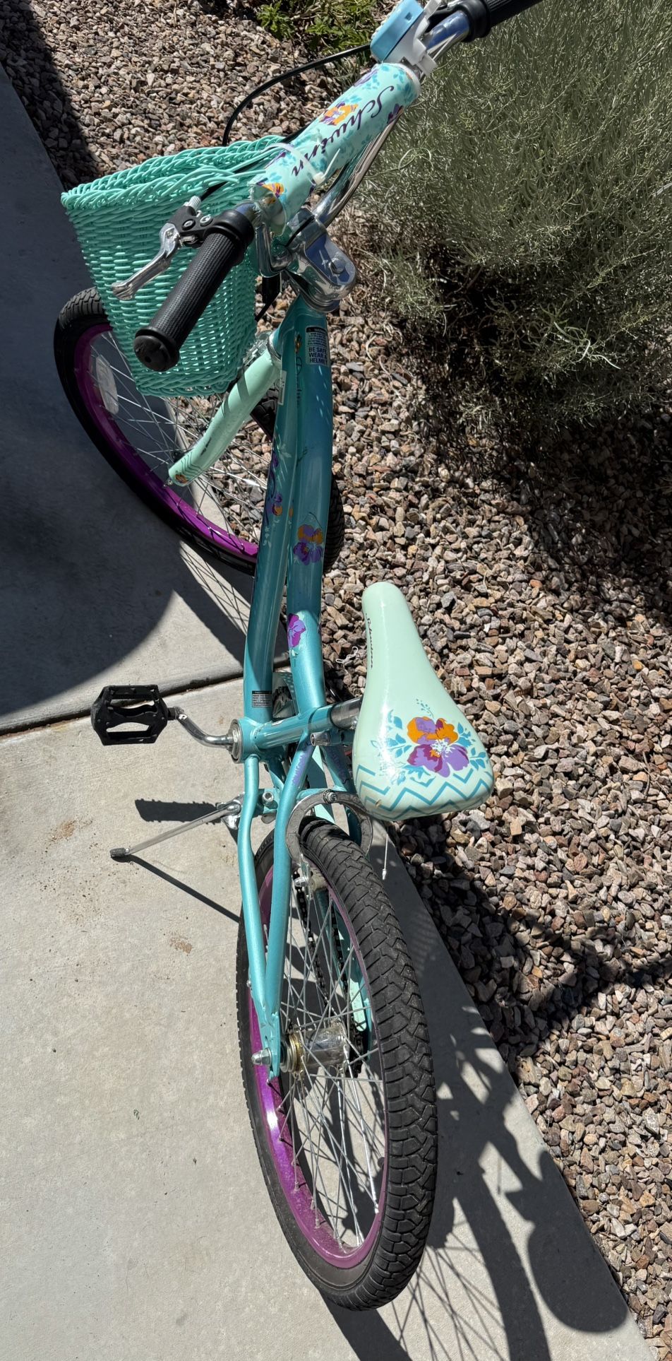 Schwinn Bike Kids Teal