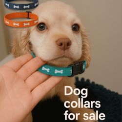 Bone necklace of different colors  For Puppies 