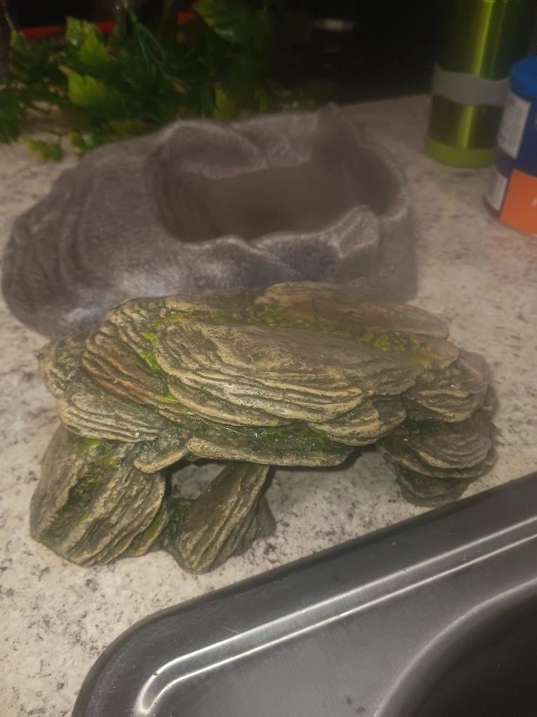 Reptile Rock And Pond With Green Synthetic Plants π