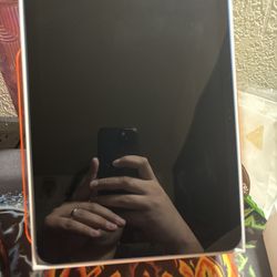 iPad (A16) WiFi + Cellular 