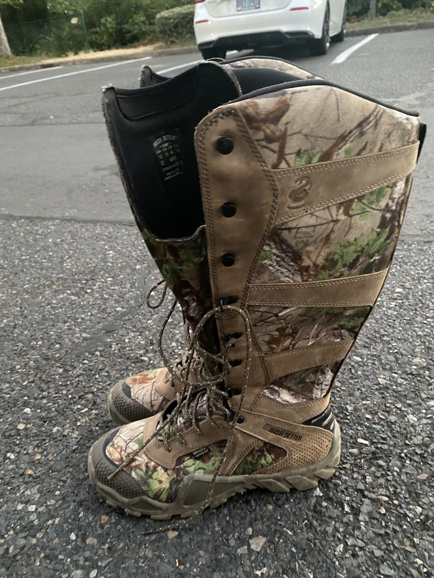 irish setter snake guard boots