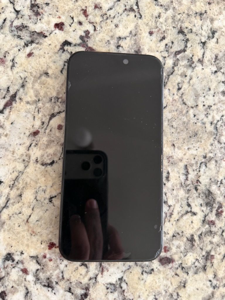 iPhone 15 Pro Max 256 GB