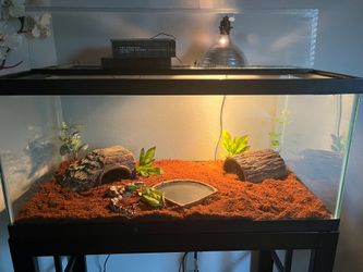 Fish tank 50 gallon tank