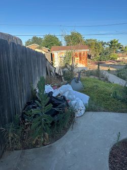 Yard clean up