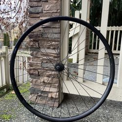 Rear Bike Wheel 