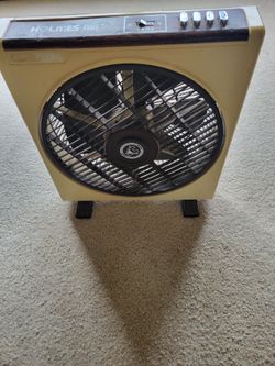 Fan
