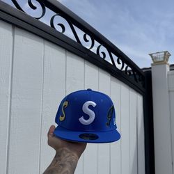 Supreme hat