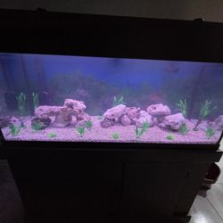 75g Freshwater Tank 
