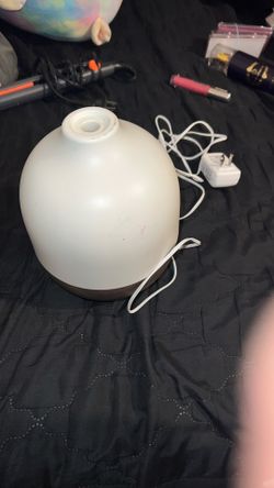 An Essential Oil Defuser