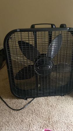 Fan