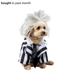 Dog Halloween Costume (medium)