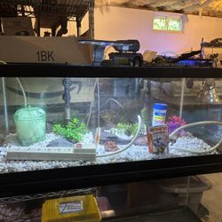 20 Gallon Long Aquarium and Accessories
