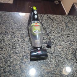 Bissell Pet Hair Eraser