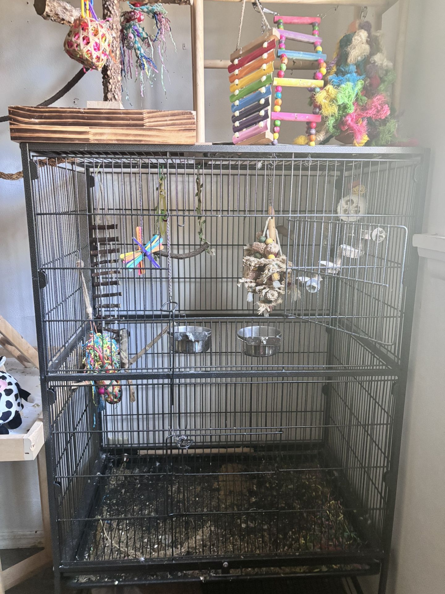 Bird cage 