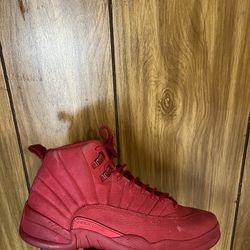 Jordan 12 Size 8.5