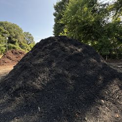 Black Mulch 