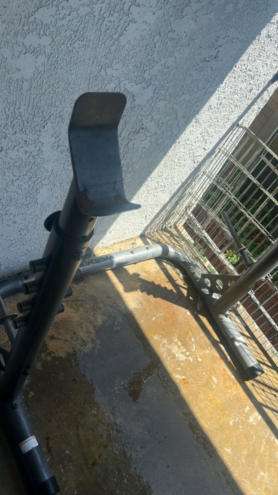 Squat Rack /bench Rack