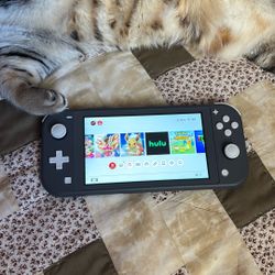 Nintendo Switch Lite 