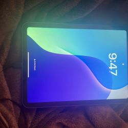 iPad Blue WiFi And LTE 10 Gen