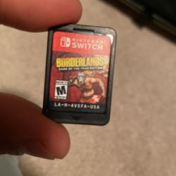 Nintendo Switch Game