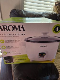 Rice & grain cooker