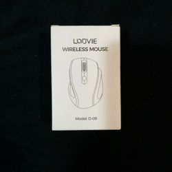 Wireless Mouse Model D-09