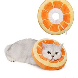 Cat Recovery Color - Alternative To “the Cone Of Shame”