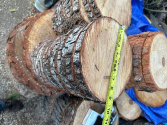 Wood Slices 