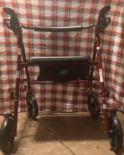 Bariatric walker with storage compartment