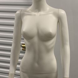 Full body Mannequin display