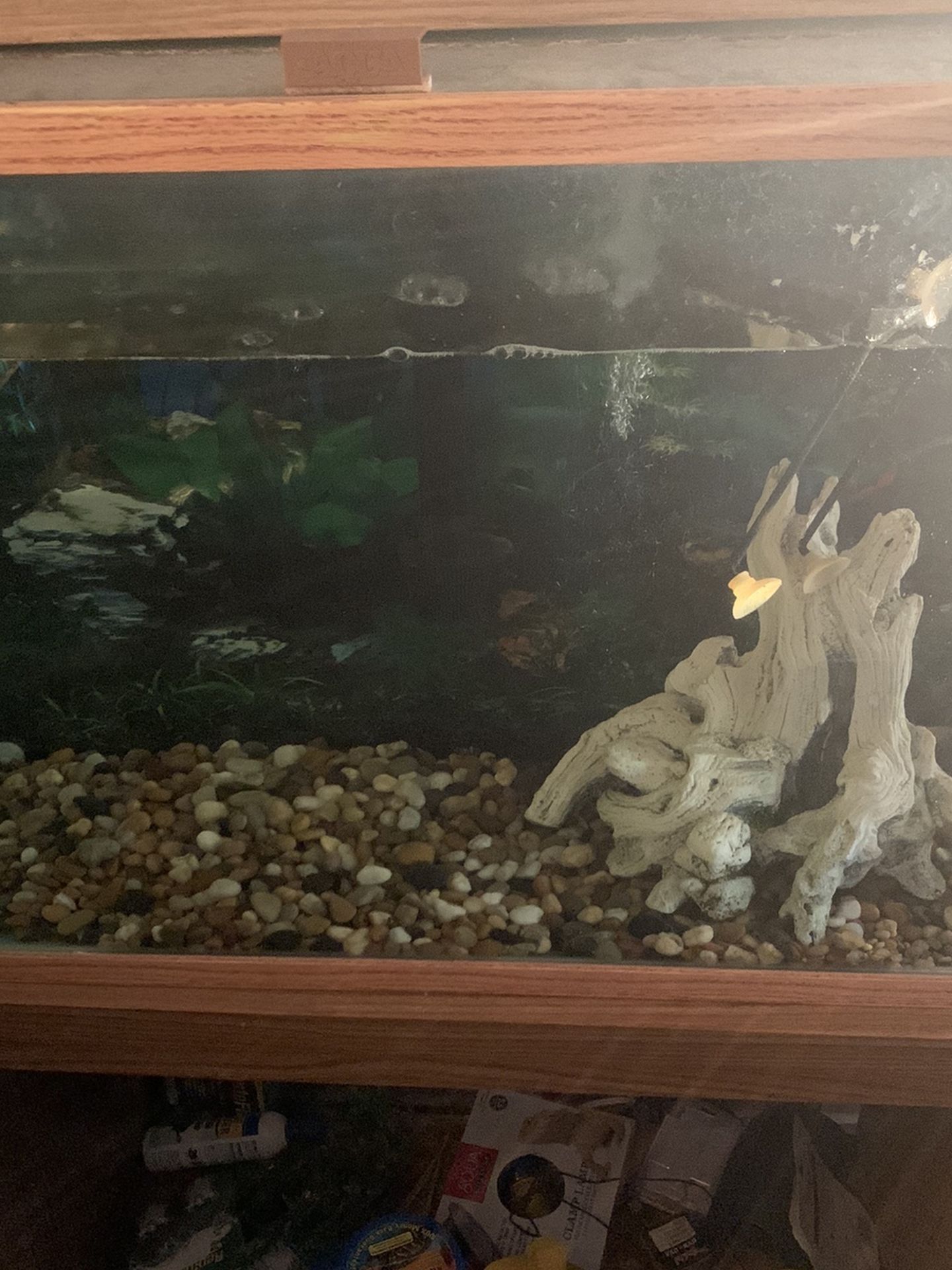 Fish Tank with Stand