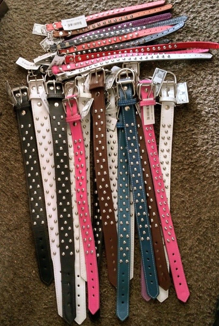 Dog Collars 