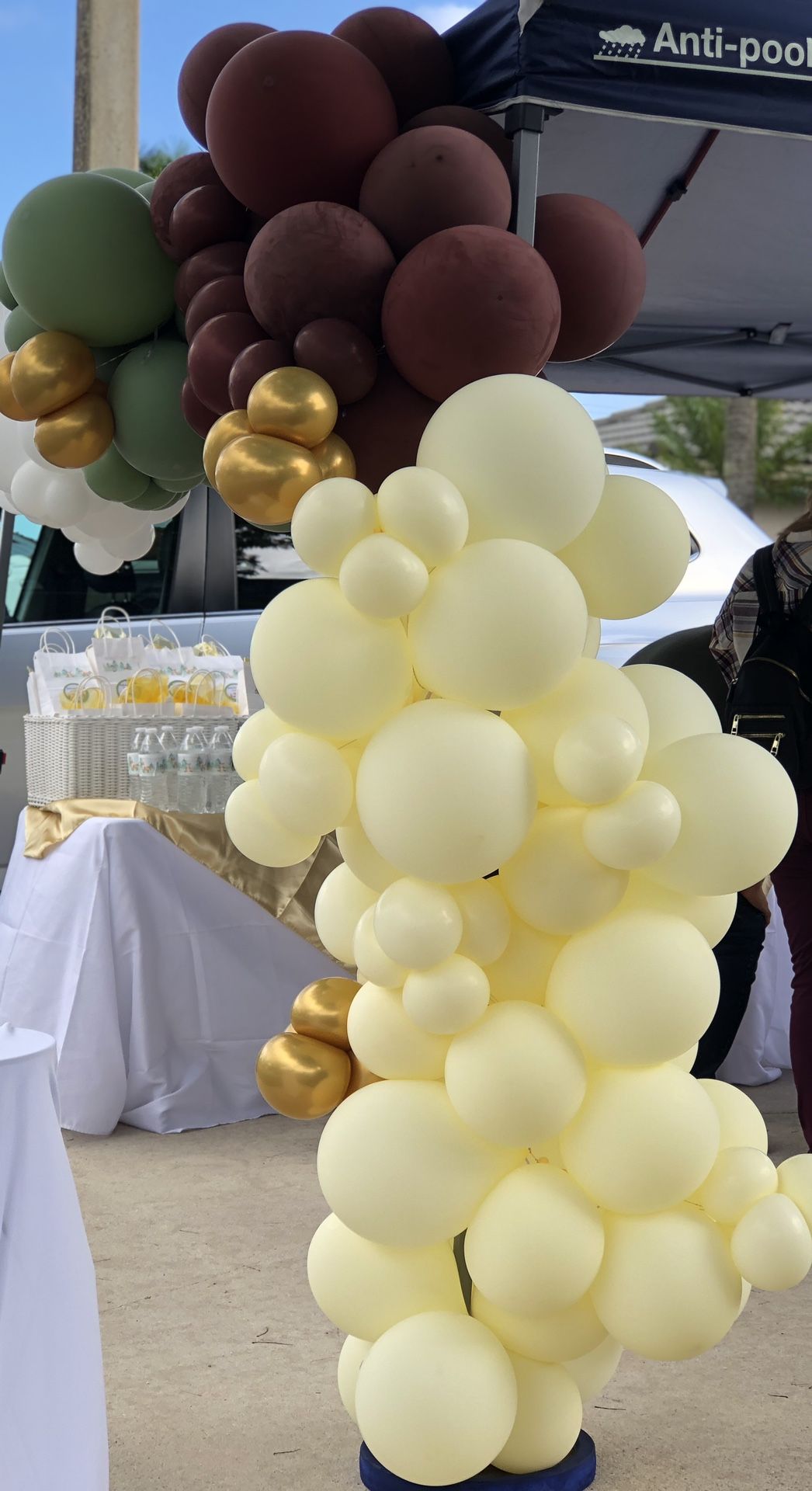 Balloons Garland Baby Shower or Any Occasion