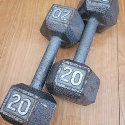 Dumbells ( 2ea x 20lb )