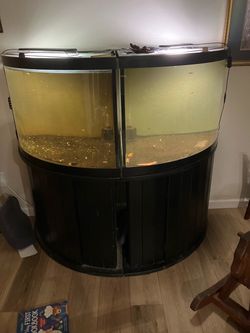 Three fish tanks
