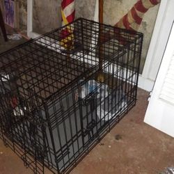 Dog Cage 