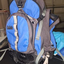 REI ALPINE HEAVY DUTY DAY PACK