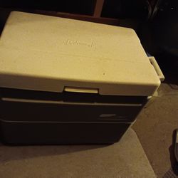 Cooler
