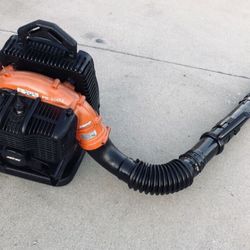 Echo Commercial Gas Blower 