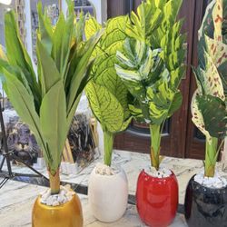 Flower Pots 