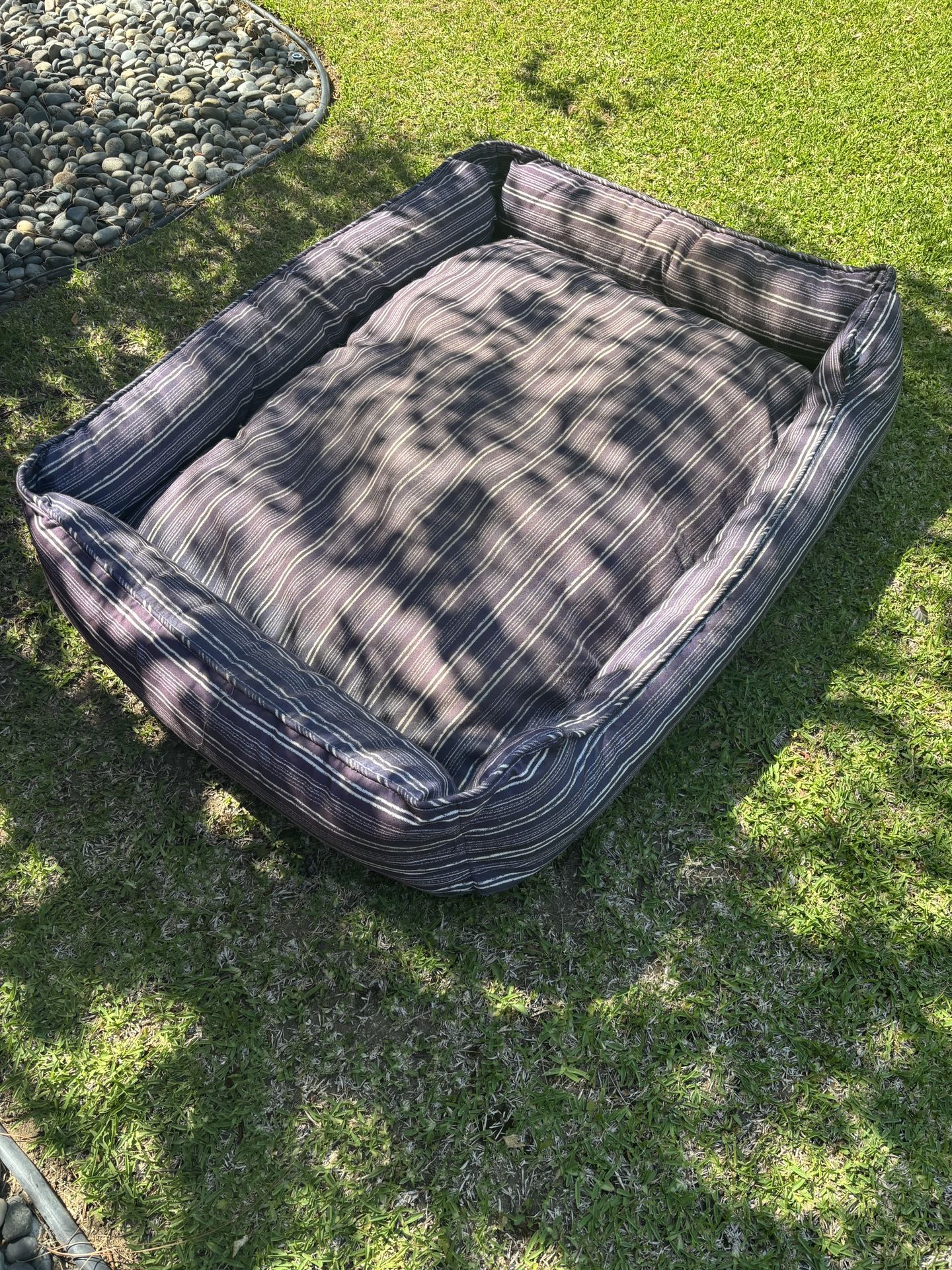 Beds/Cot