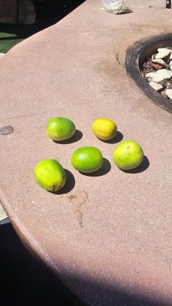 Limones para su tacos.
