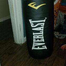 Everlast 40lbs Punching Bag 