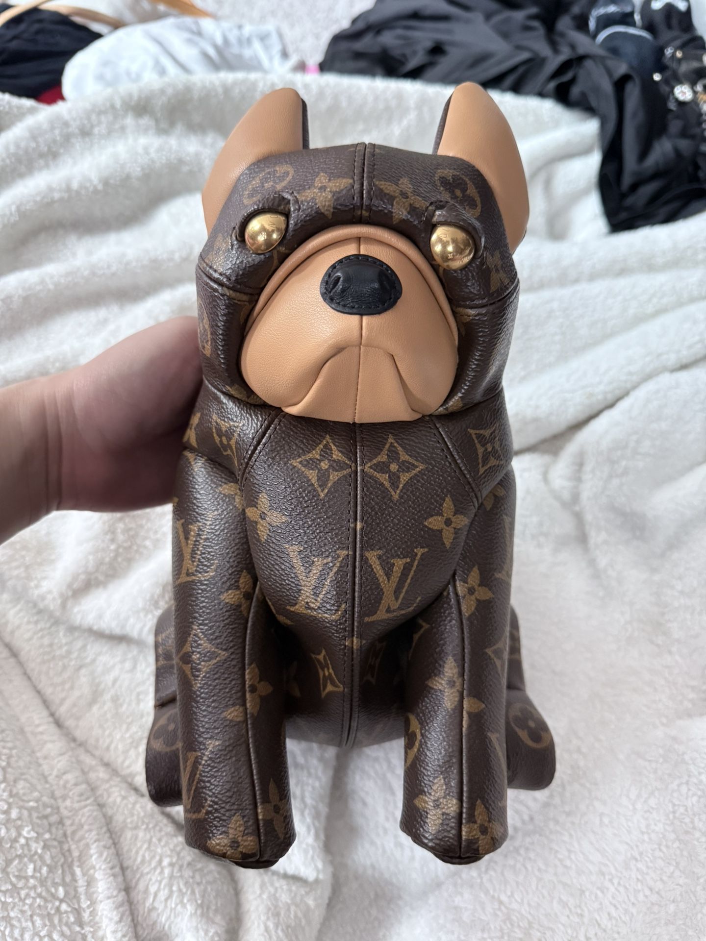 Louis Vuitton Pooch Bag