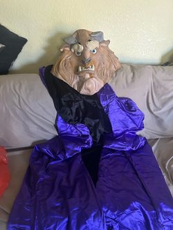 Halloween costume $28