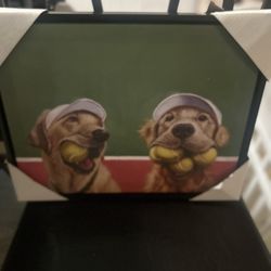 Beautiful picture  Brand New